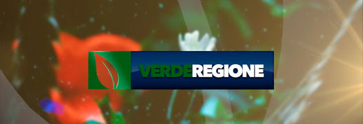 Verde Regione