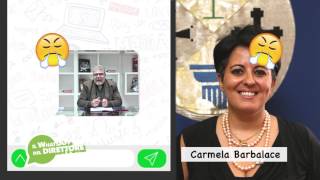 16-01-2017-il-whatsapp-del-direttore-carmela-barbalace