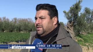 12-01-2017-i-fatti-in-diretta-una-regione-nella-morsa-del-gelo