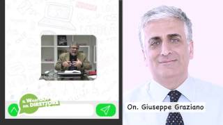 27-12-2016-il-whatsapp-del-direttore-on-carlo-guccione-on-giuseppe-graziano