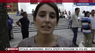 tg-news-20-12-2015-giorno