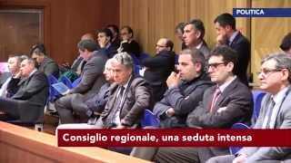 tg-news-11-11-2015-giorno