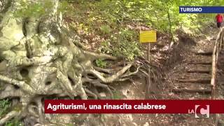 tg-news-10-09-2015-giorno