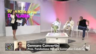 expo-2015-calabria-17-07-15-2-parte