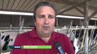 verde-regione-puntata-del-16-06-2015