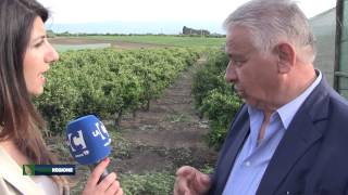 verde-regione-puntata-del-24-05-2015