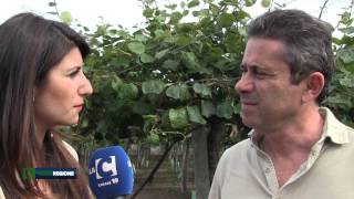 verde-regione-puntata-del-22-05-2015