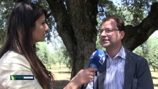 verde-regione-puntata-del-20-05-2015