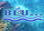 blu-magazine blu-magazine
